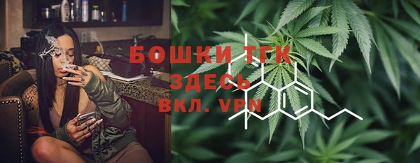 дурь Вяземский