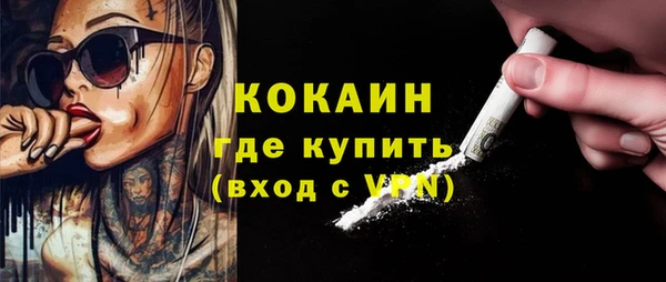 дурь Вяземский