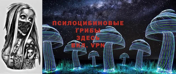 прущие грибы Вязники