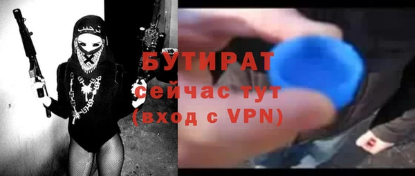 прущие грибы Вязники
