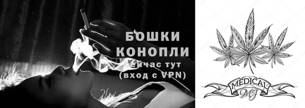 прущие грибы Вязники