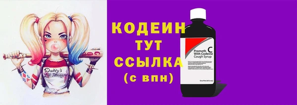 дурь Вяземский
