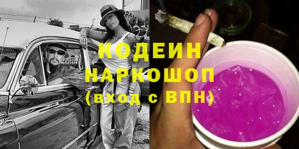 дурь Вяземский
