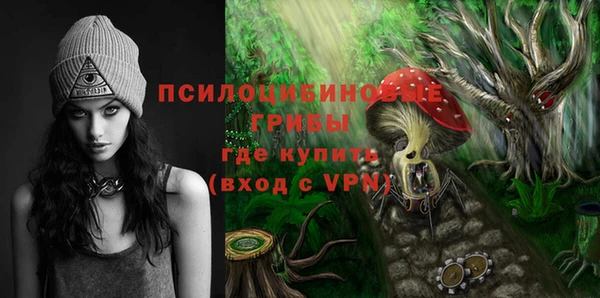 прущие грибы Вязники