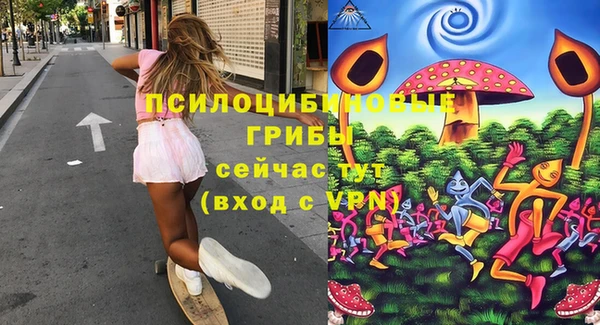 дурь Вяземский