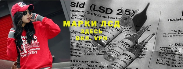 прущие грибы Вязники
