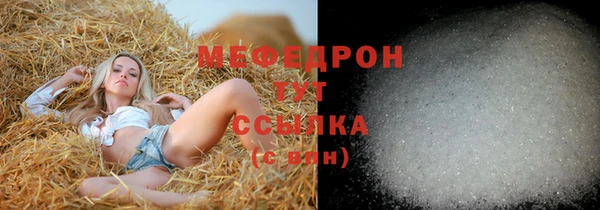 прущие грибы Вязники