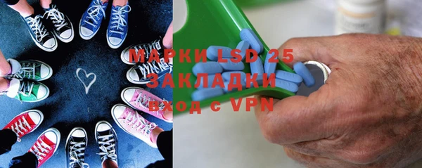 прущие грибы Вязники