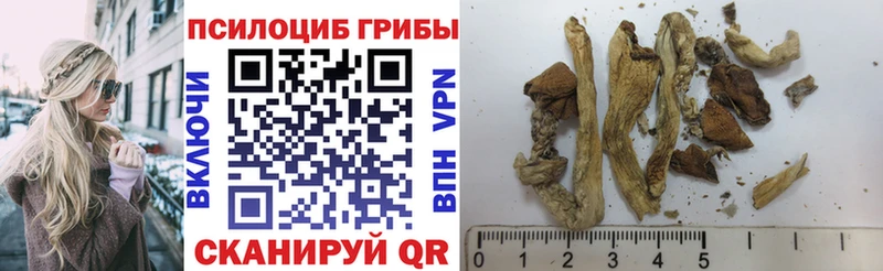 где можно купить наркотик Нестеровская Галлюциногенные грибы мухоморы